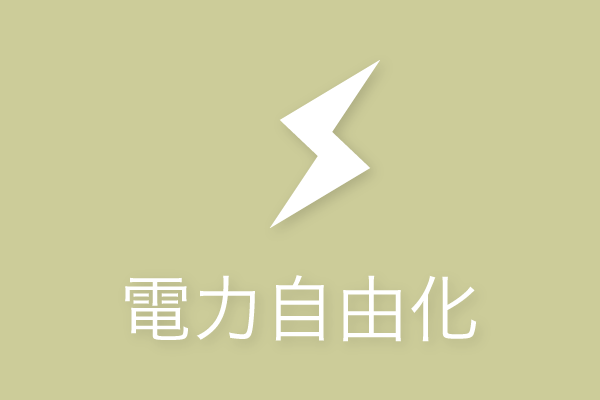 電力自由化